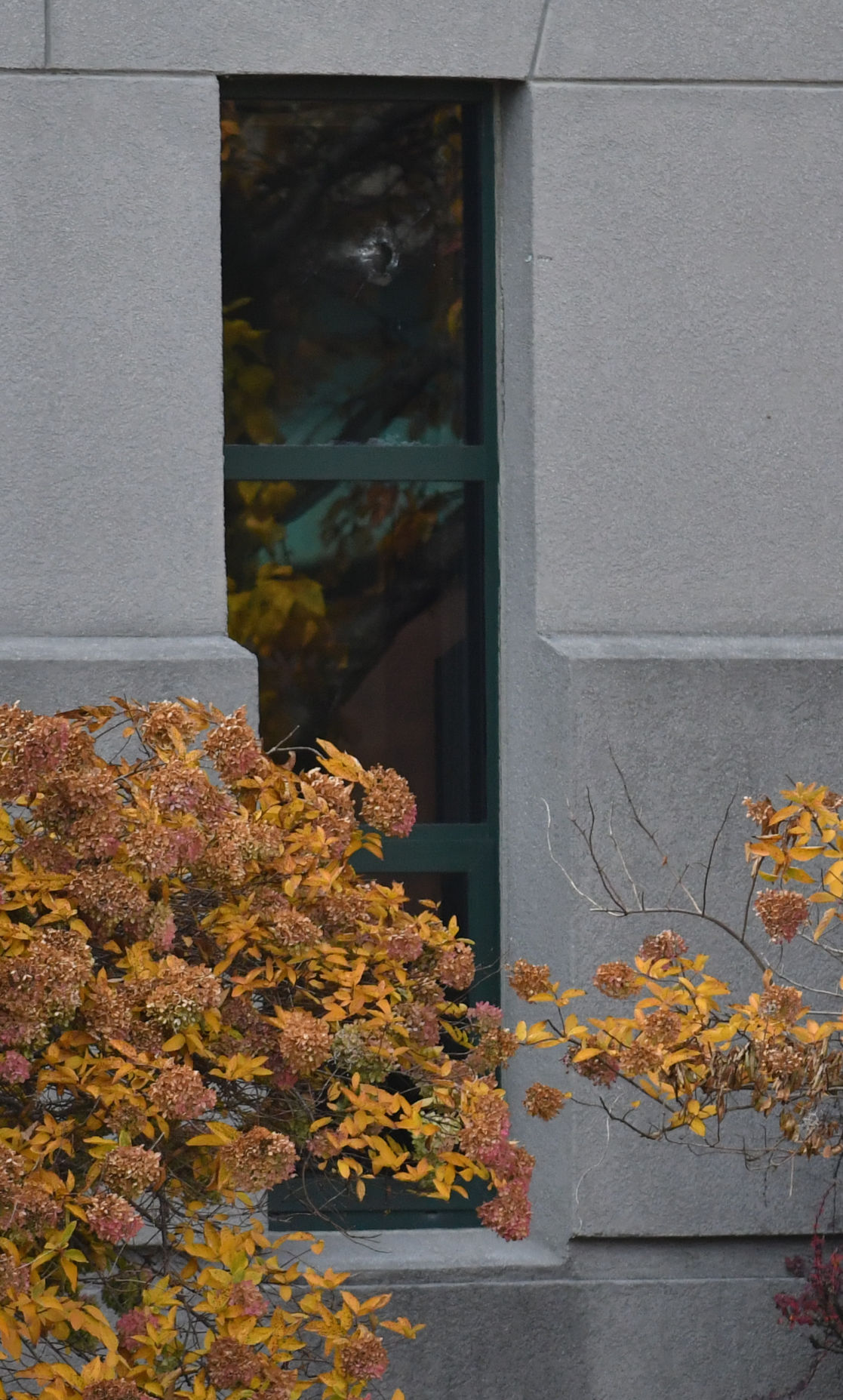 103118-shooting-tm-005.jpg